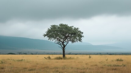 Fototapeta na wymiar Lone tree in a tranquil savannah under an overcast sky. serene nature scene, perfect for calm backgrounds and environmental themes. AI