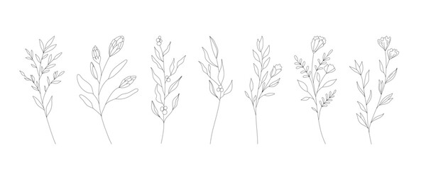 Hand drawn wild field flora, flowers, leaves, herbs, plants, branches. Minimal floral botanical line art. Vector illustration for logo or tattoo, invitations, save the date card. - obrazy, fototapety, plakaty