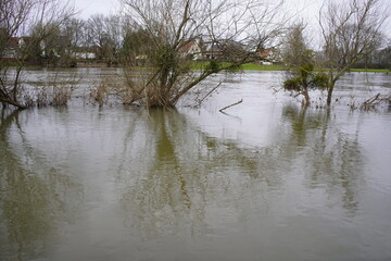 Obraz na płótnie Canvas Flooding of the Leine River near Hanover from the end of 2023 to February 2024.