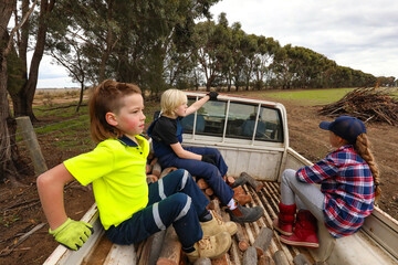 Kids riding in back of old work ute while out wood cutting on farm
