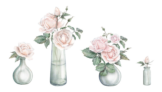 Watercolor set composition from peach fuzz color roses and green leaves in glass jar. Hand drawn illustration isolated background. Element painted natural plant twigs with light pink rose for design