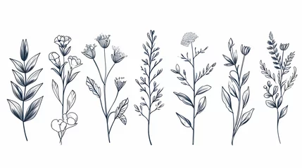 Crédence de cuisine en verre imprimé Papillons en grunge illustration of a branch of tree, hand drawn flowers