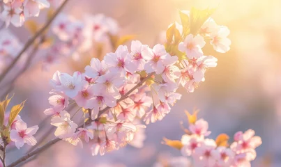 Foto op Aluminium Sakura blossoms in Maruyama Park, Kyoto, Japan. Generative AI © sutagon