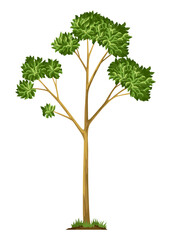 Stage of tree growth. Small tree growth with green leaf and branches. Illustration of business cycle development