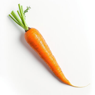 Microstock e-commerce photography, crisp image of single carrot on pure white background, Close-up shooting, emphasizing color and style