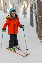 Kid Enjoying Ski in Forest