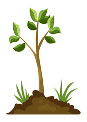 Stage of tree growth. Small tree growth with green leaf and branches. Illustration of business cycle development