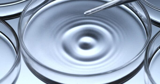 Super slow motion macro of dripping drop of DNA sample substance molecules is being added by scientist to petri dish during biochemical analysis of experimental data research in laboratory at 1000 fps