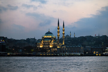 Yeni Cami Mosque The New Mosque in Istanbul Turkey - 738108732