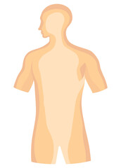 Fototapeta premium Human body internal parts poster. Medical anatomy infographic. cartoon illustration