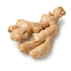 Piece of fresh ginger rhizome on white background close up