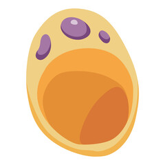 Human cell type icon. Medicine and biology illustrative symbol. Health, anatomy and science. Biology isolated on white background