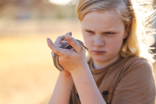 Pre-teen adolescent boy holding pet children's python snake