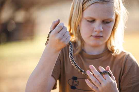 Pre-teen adolescent boy holding pet children's python snake