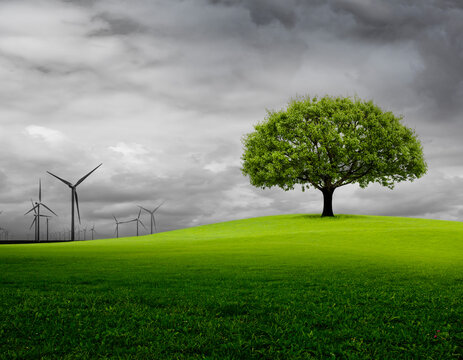 Windkraftanlage oder Grüne Natur