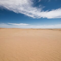 Fototapeta na wymiar sand dunes in the desert.