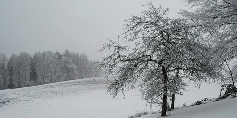 Obraz na płótnie Canvas Winterlandschaft mit Schnee