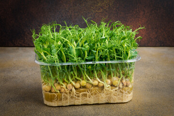 Microgreens, sprouted peas in a plastic container in close-up