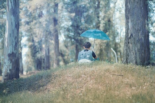 Niño en el parque con su paraguas en un día de lluvia