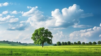 Fototapeta premium Tree in the middle of a lush green field with white clouds and blue sky