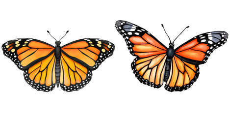Obraz premium Set of watercolor monarch butterfly, isolated on transparent background