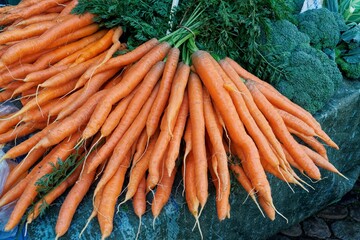 Bund Möhren