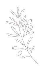Hand drawn wild field flora, flower, herb, plant, branch. Minimal floral botanical line art. Vector illustration for logo or tattoo, invitations, save the date card.