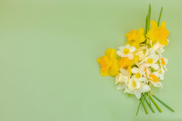 Festive spring composition with assorted blooming narcissus and homemade wicker basket