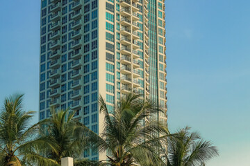 green coconut trees with views of towering modern apartment buildings and bright blue sky at ancol...