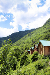 Cottages in the mountains, view of the forest. Tara River Canyon - Montenegro, landscape.
