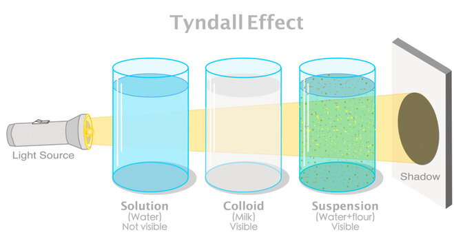 Tyndall effect. Scattering of light by small suspended particles in a colloid, making the light beam visible. Solution water, milk, suspension, flour in glass container. Vector illustration