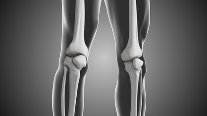 A gap between the knee joints and knee discomfort