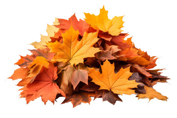 A Pile of Autumn Leaves. A collection of colorful autumn leaves stacked in a pile on a Transparent background.