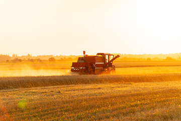 Combine harvester working on wheat field. A Ukrainian farmer harvests wheat. Beautiful Nature....
