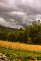 Beautiful mountain range with trees