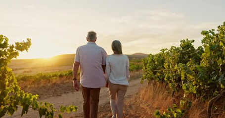 Back view, couple and holding hands in vineyard in countryside, travel and holiday in Italy. Mature people outdoor, adventure for bonding and retirement together, wind and commitment with sunset