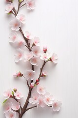 Naklejka na ściany i meble Sakura on a white wooden background