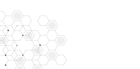 Vectors Hexagon geometric on a white background. Modern technology vector illustration with square grid.