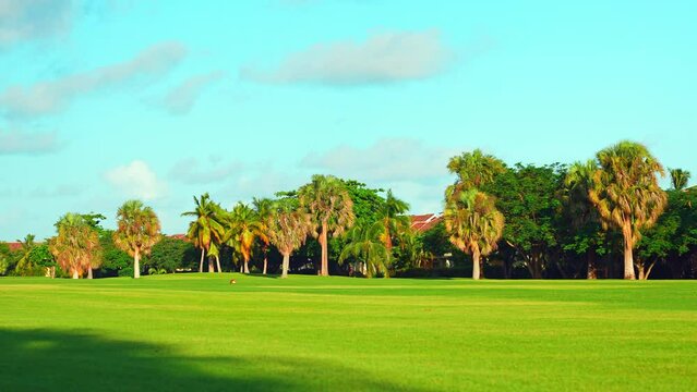Sunny green grass area for picnic, golf or entertaining on a sunny summer day. American green field landscape. A beautiful golf course with grass and different types of trees.