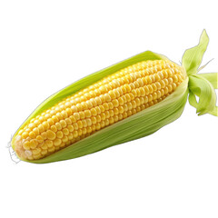 A fresh Corn png / transparent