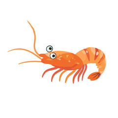 Vector illustration funny shrimp with eyes, sea creature on white background for sticker, print, poster, postcard
