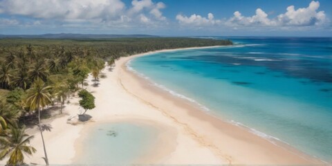 Fototapeta premium Panoramic view of a tropical beach with palm leaves
