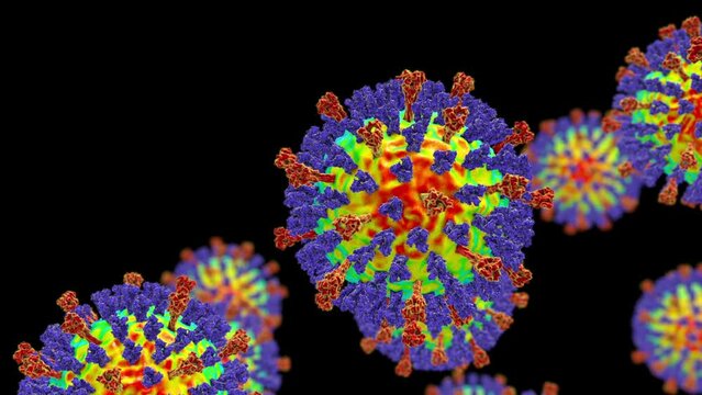 Measles virus. 3D animation showing measles viruses with surface glycoprotein spikes heamagglutinin-neuraminidase (blue) and fusion protein (red).