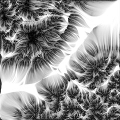 Black and White Organic Abstract Flow Textures