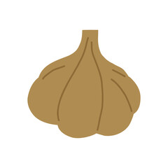 Hand drawn garlic, cartoon flat vector illustration isolated on white background. Concepts of food, cooking, culinary and kitchen.