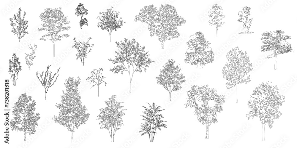 Poster Minimal style cad tree line drawing, Side view, set of graphics trees elements outline symbol for architecture and landscape design drawing. Vector illustration in stroke fill in white. Tropical, oak
