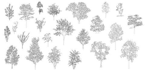 Minimal style cad tree line drawing, Side view, set of graphics trees elements outline symbol for architecture and landscape design drawing. Vector illustration in stroke fill in white. Tropical, oak