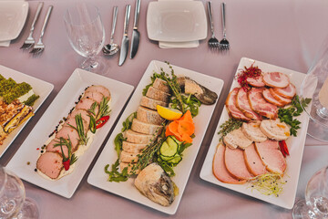 Various light snacks of meat, salad, fish are on table served for gala dinner, party, picnic. 