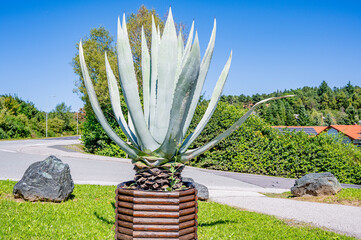 Agave plant in a pot in Austria. street decoration in spring. plants  resistant to heat and...