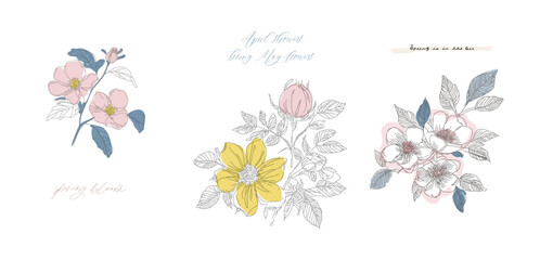 Floral vector illustration, set of gentle flowers